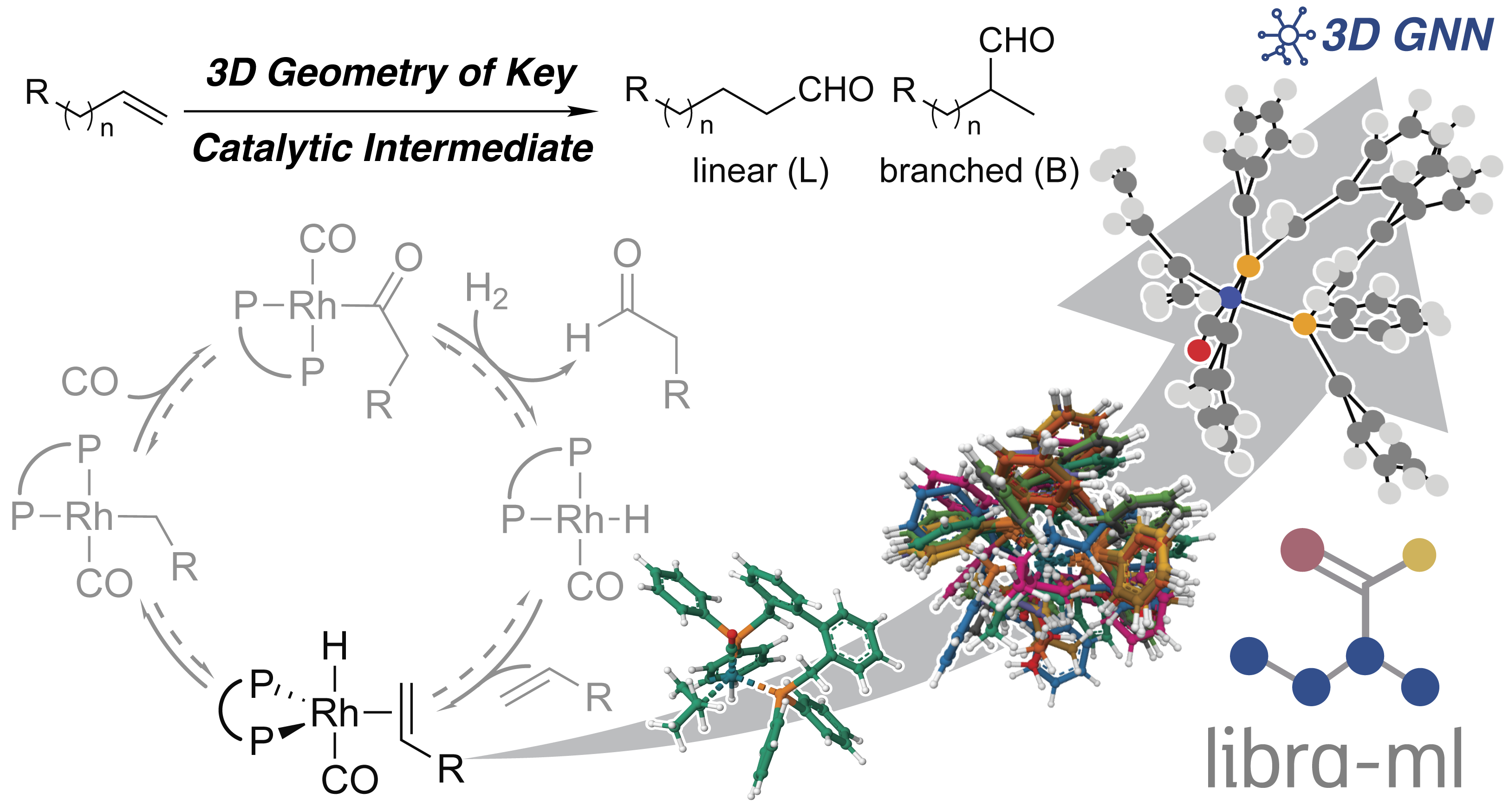 A 3D, Structure-Based, Deep Learning Approach for Predicting the Regioselectivity of Transition-Metal Catalysis.