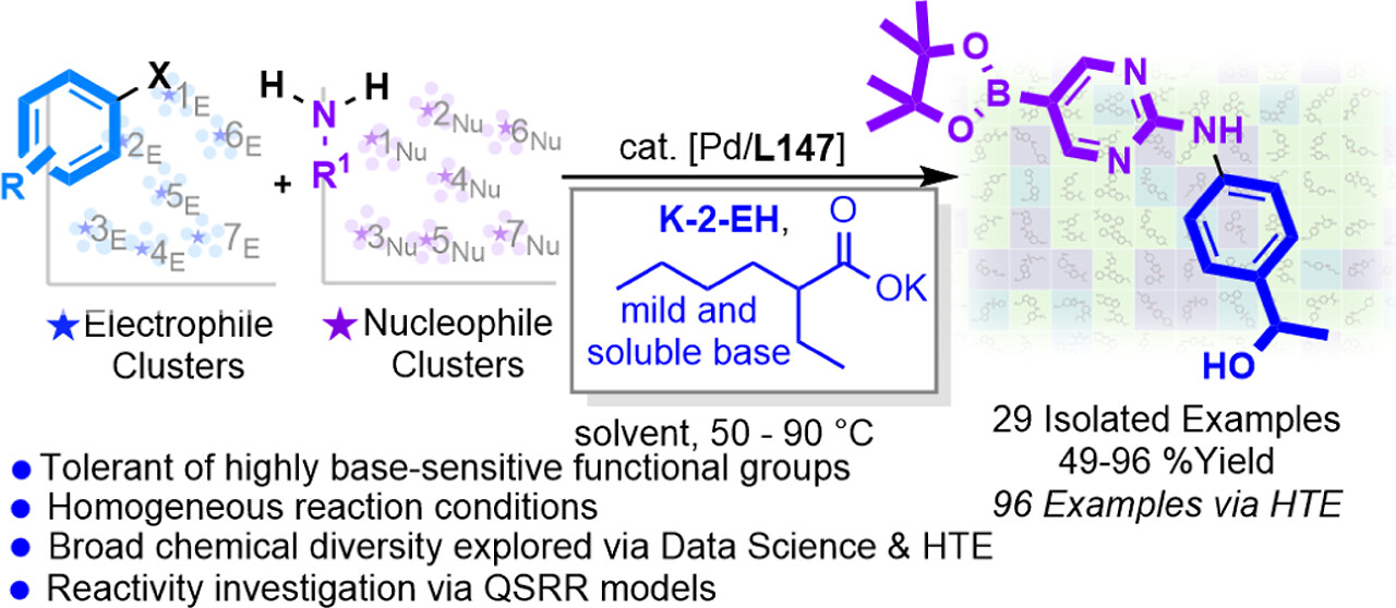 Unleashing the Power of Potassium 2-Ethylhexanoate as a Mild and Soluble Base for Pd-Catalyzed C–N Cross-Coupling.